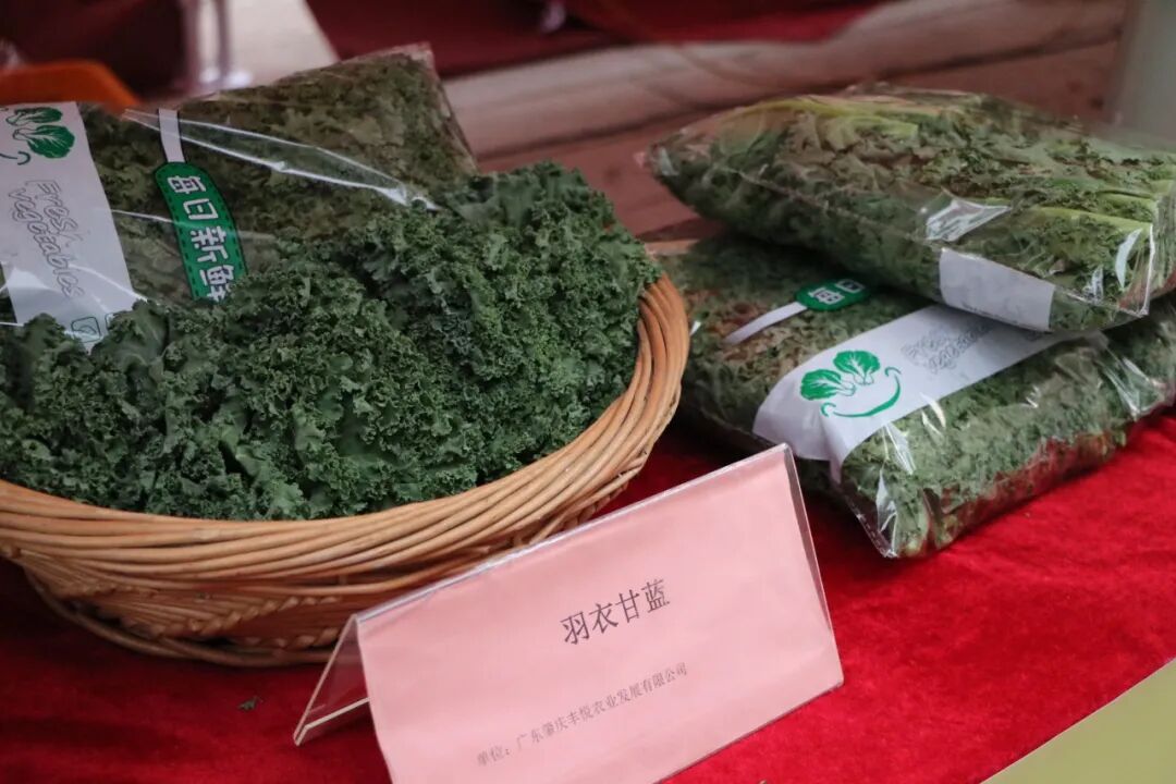 封开县这场美食嘉年华太热闹