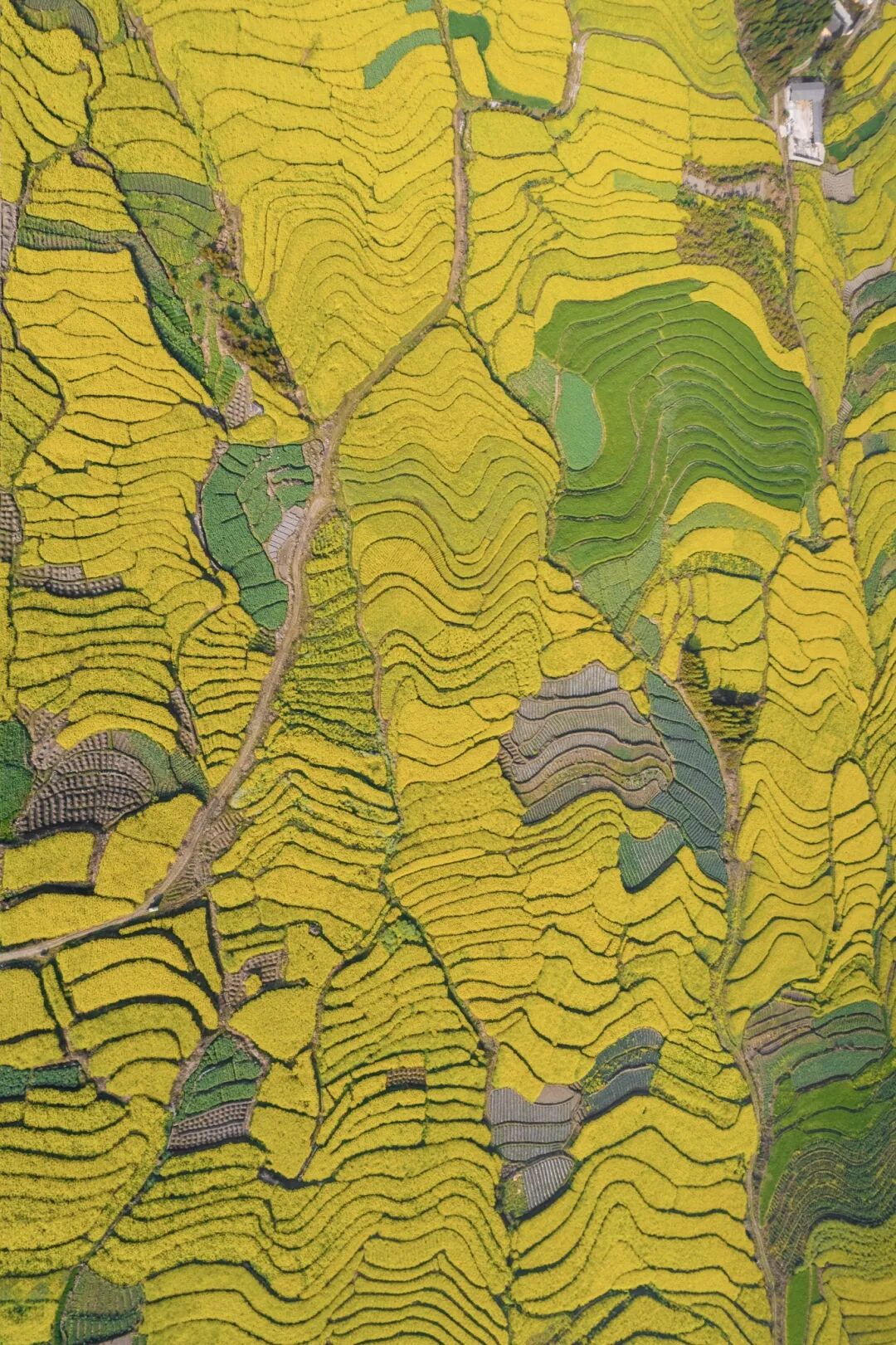 DJI_0708.jpg