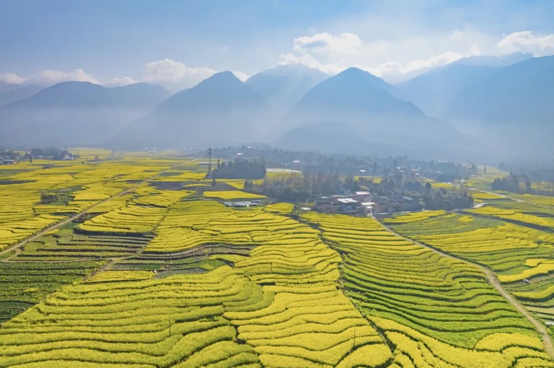 DJI_0693.jpg