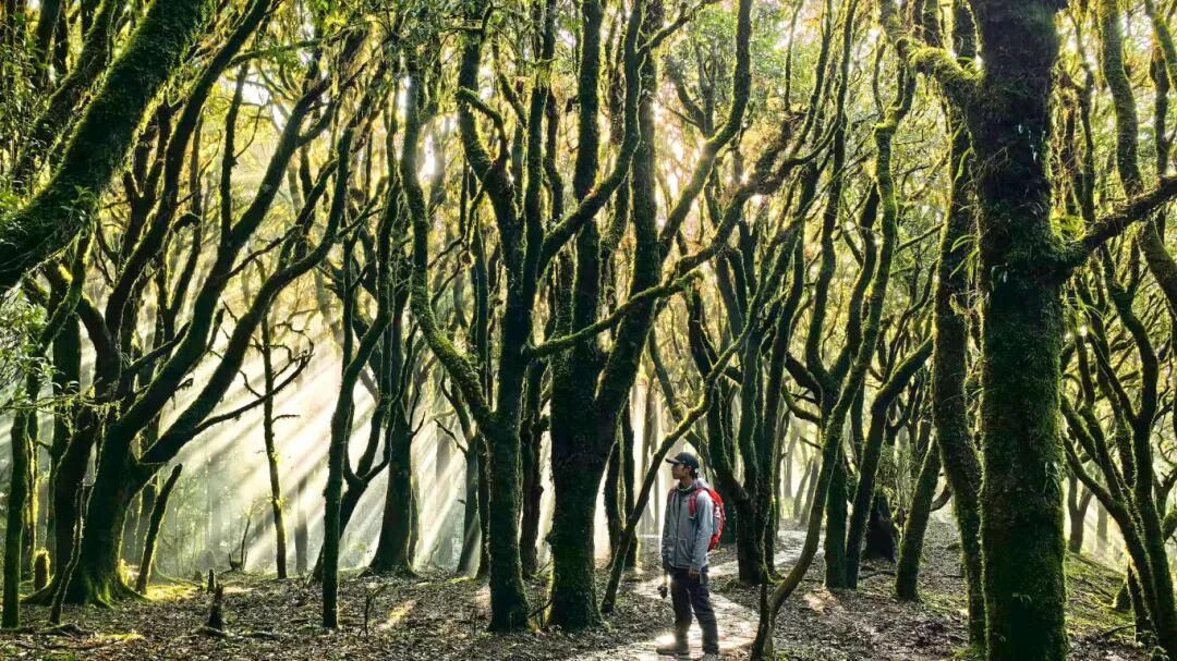 WechatIMG6635 拷贝.jpg