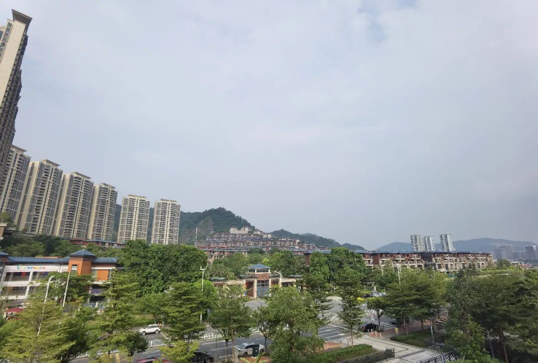 400万在黄埔，真的可以挑花眼