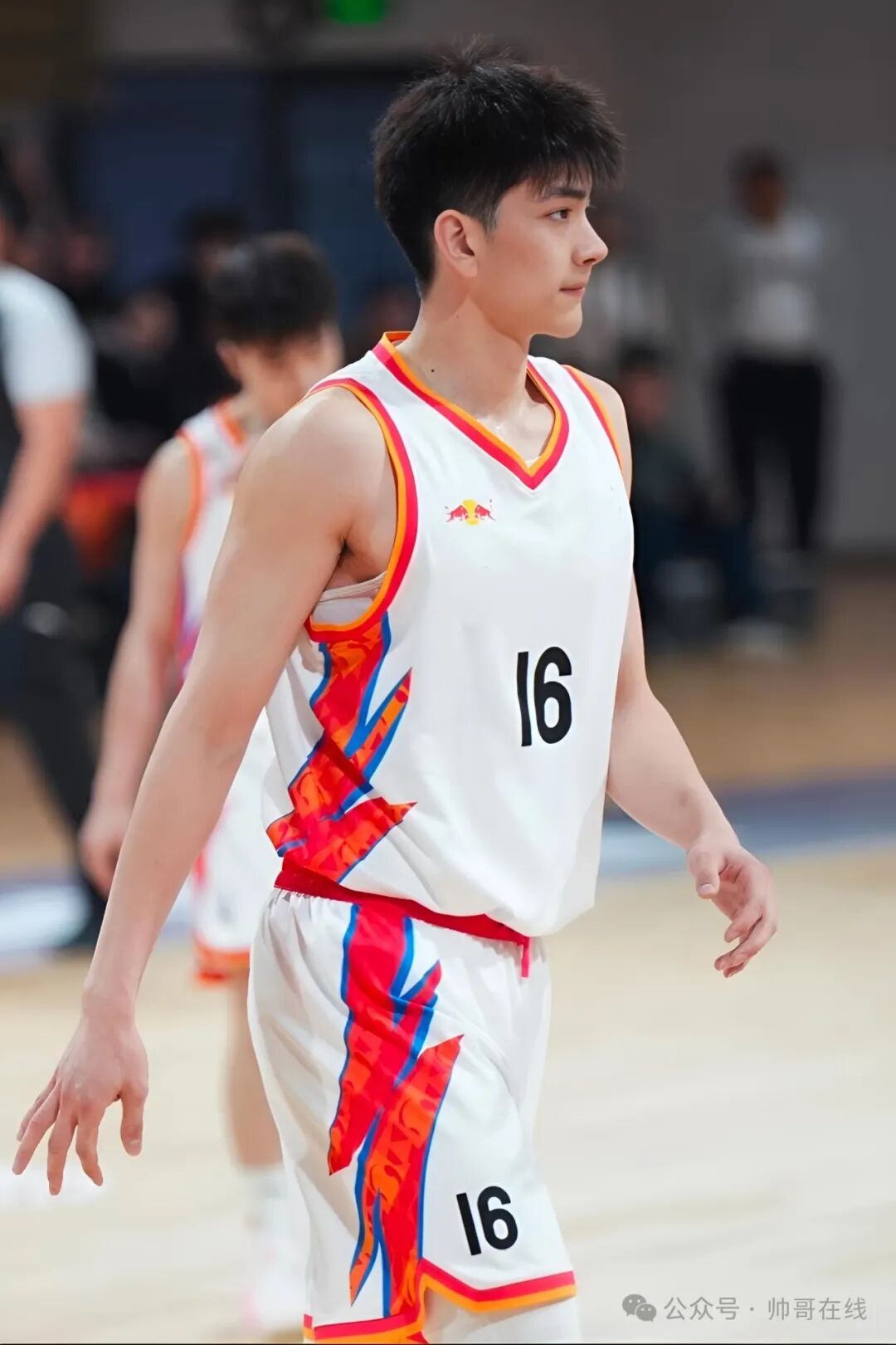 爆火出圈的吉大16号篮球体育生，帅的没边了！