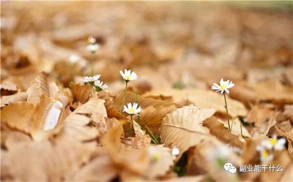 副业赚钱app，轻松实现额外收入！