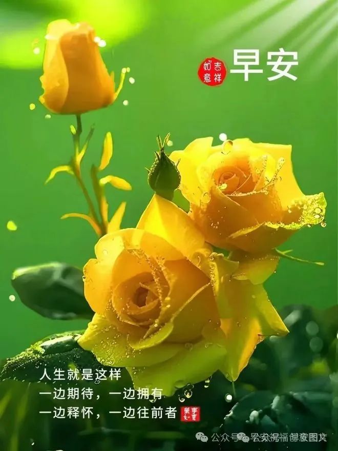 端午节快乐