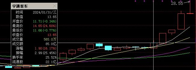 2024年06月26日 宇通客车股票