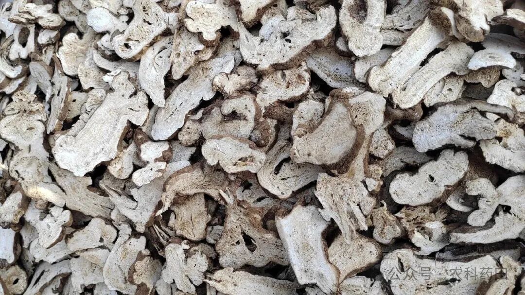 2026年中药材避坑指南