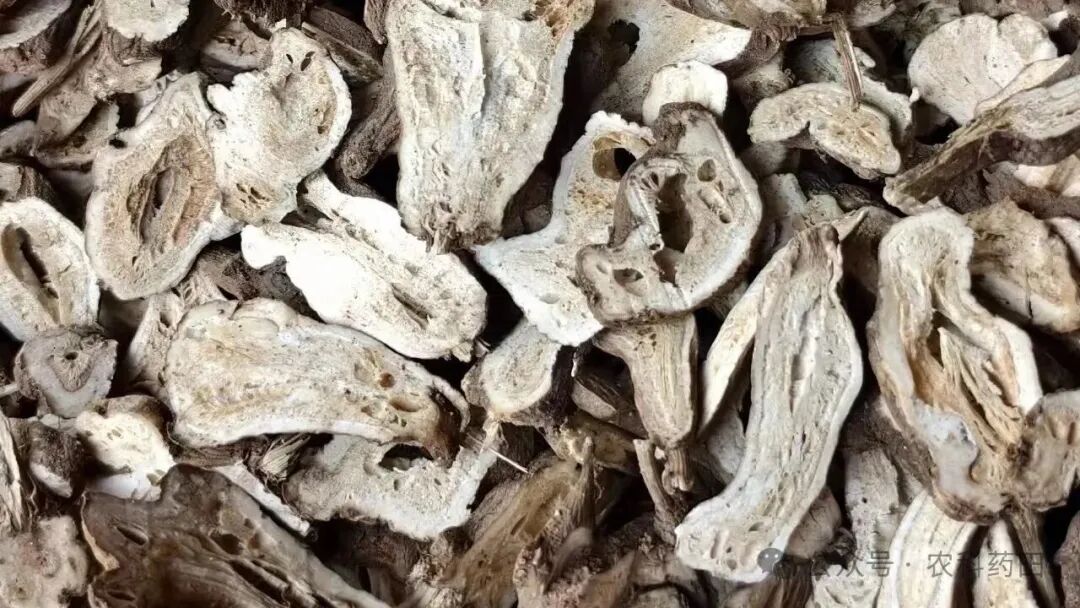 这10个药材持续下跌，别再盲目扩种了！