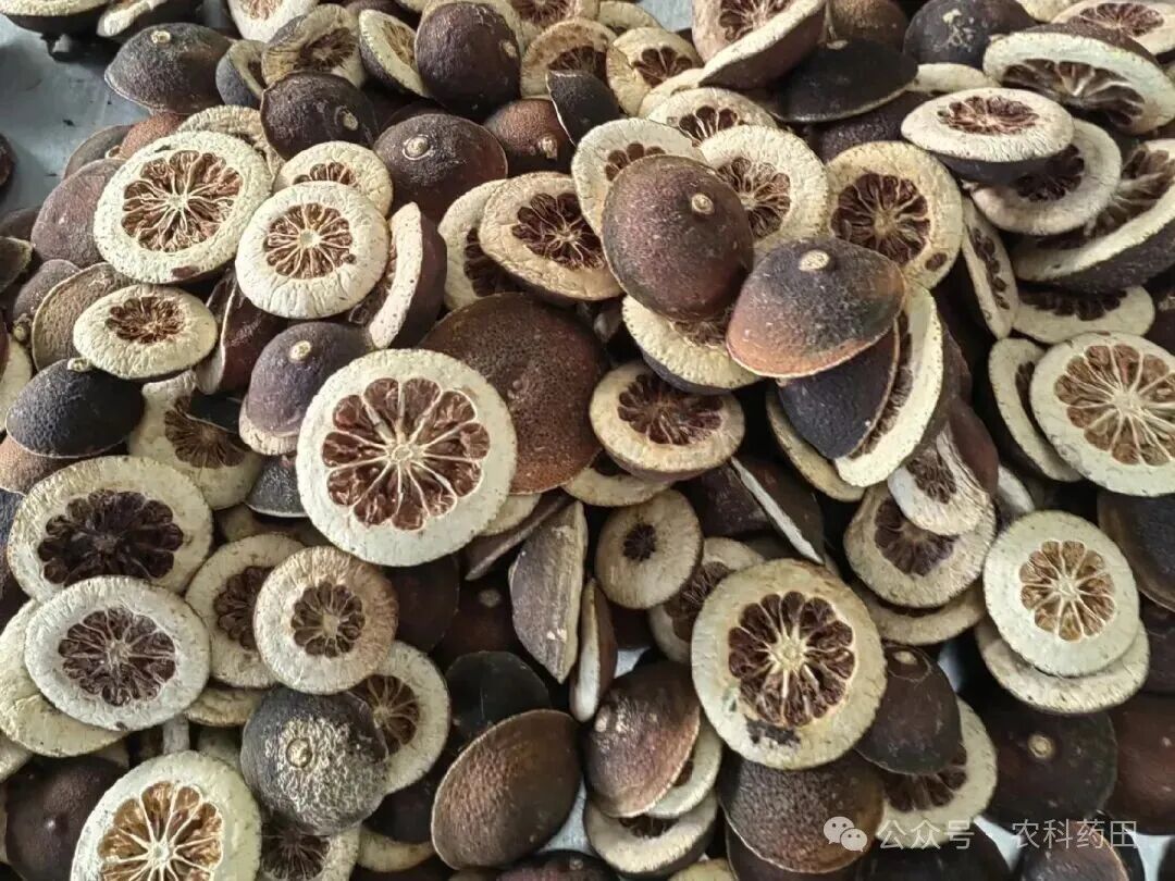 “六陈”之说藏玄机，这些中药陈放越久功效越佳