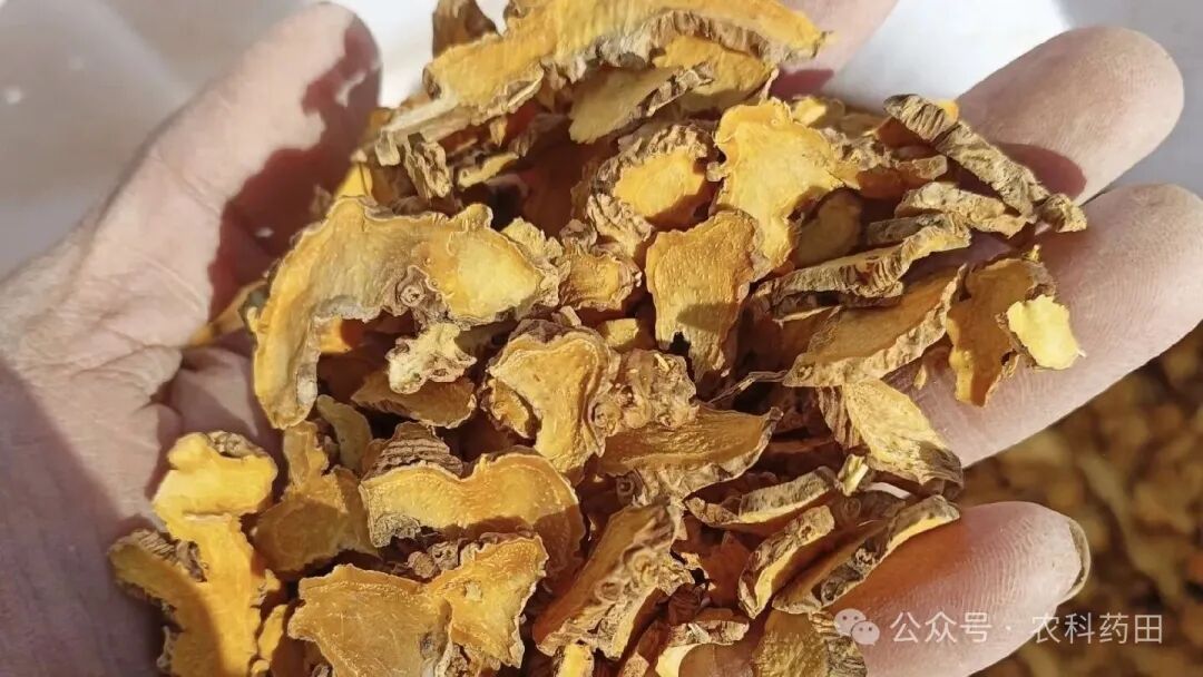 药市暗流涌动：这8种冷门药材正悄悄抬头