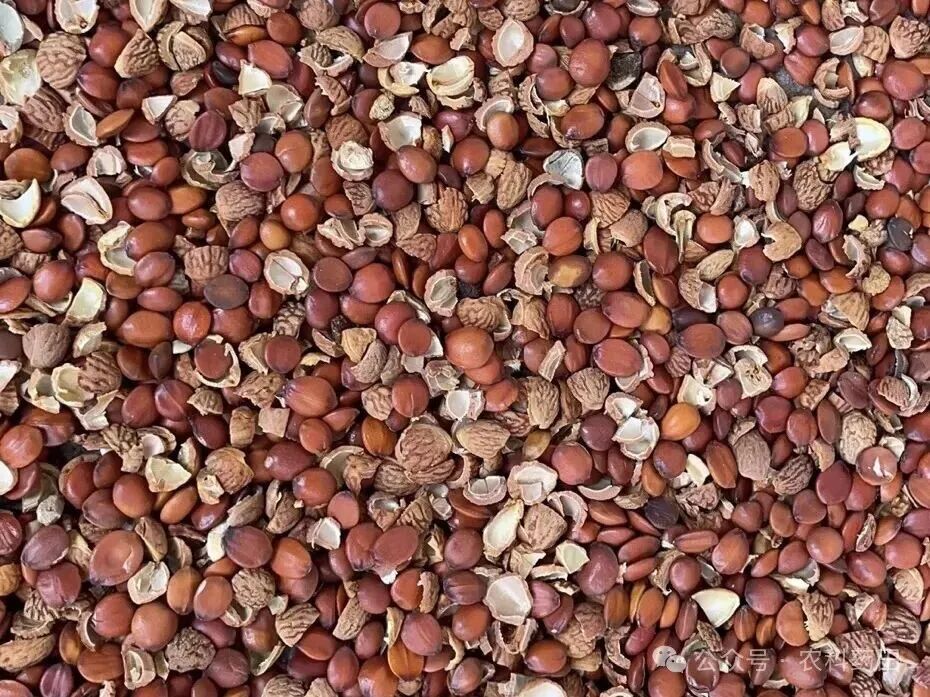 2026药市暴涨品种大揭秘：十大热门品种走势全解析