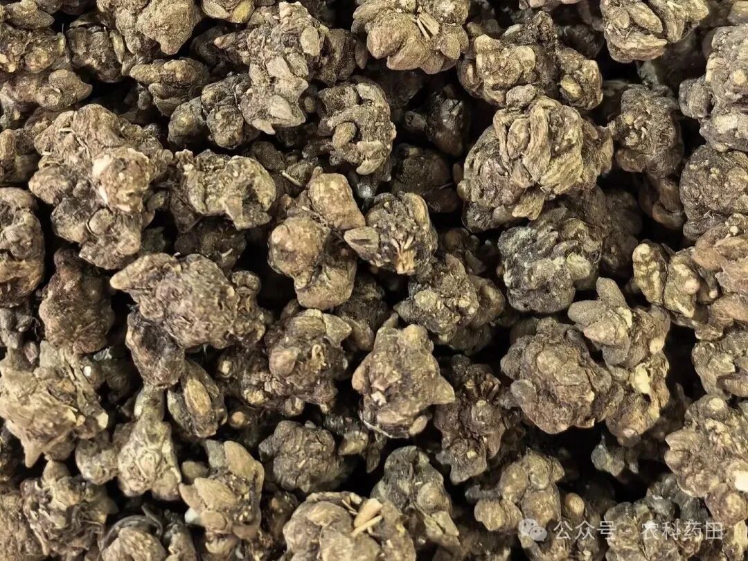 这些品种“大跳水”种植要谨慎了！