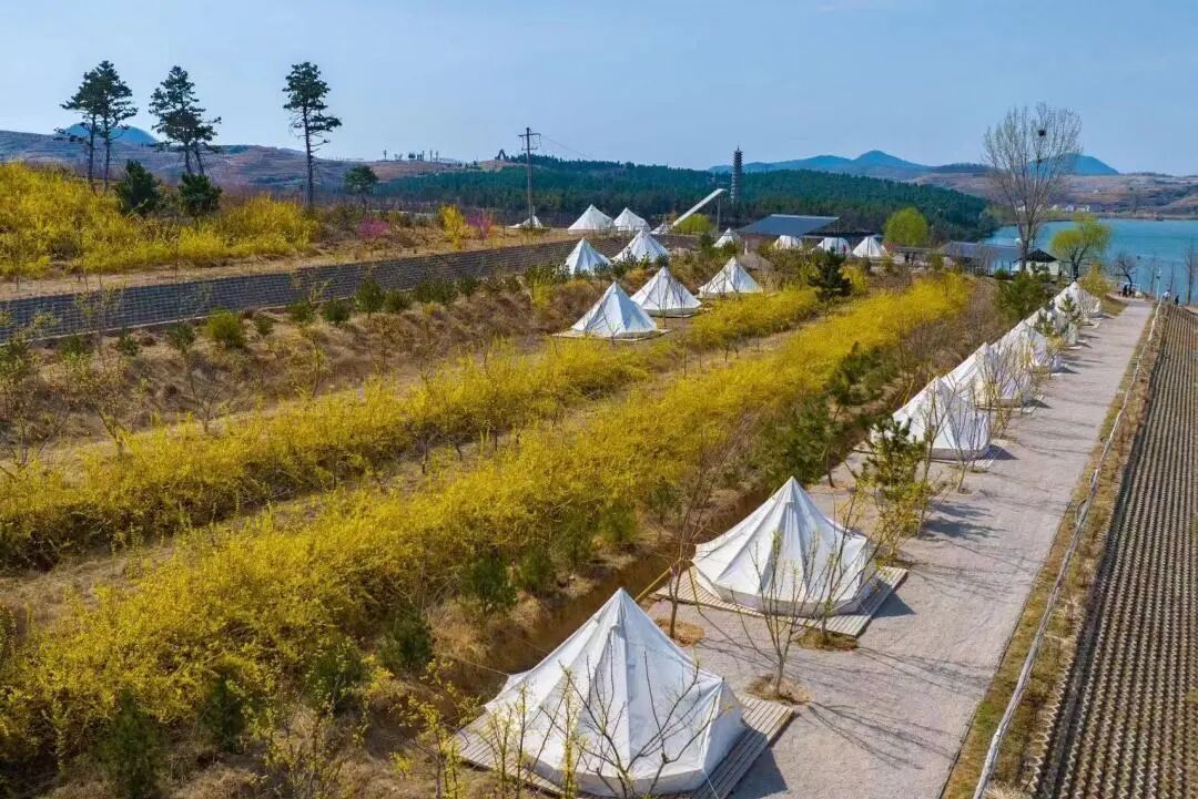 淄博网红露营地被禁还有这10处绝美营地可以去