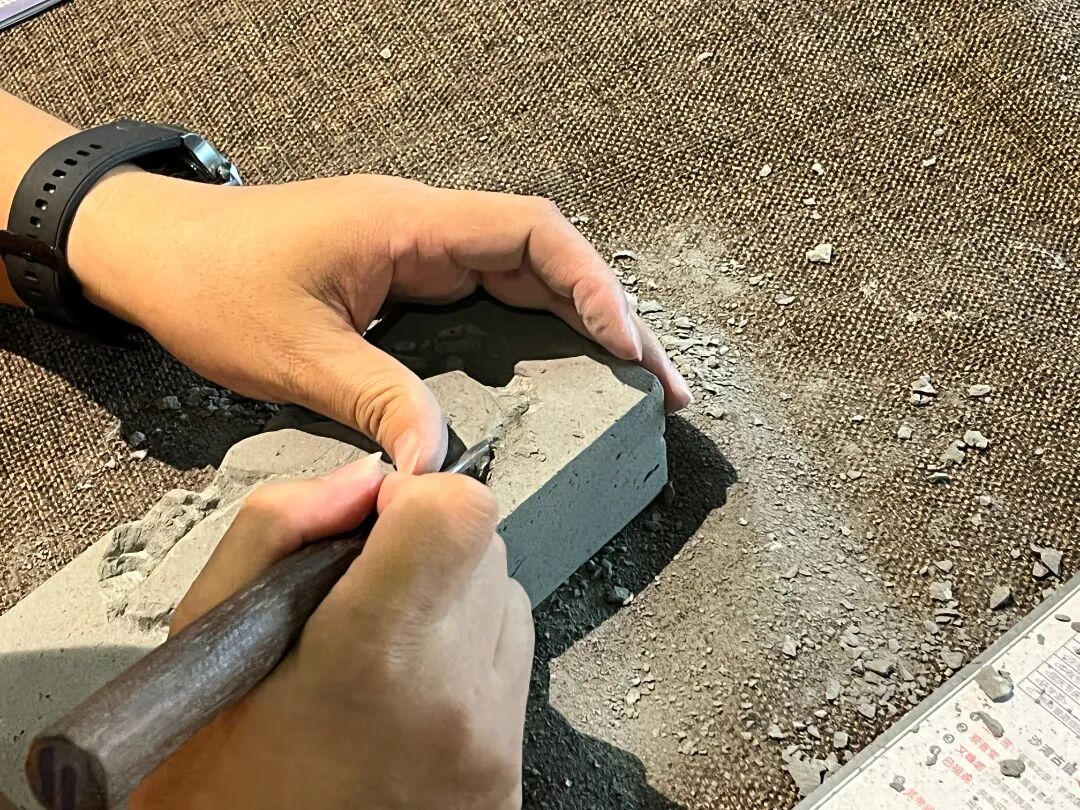 ͼƬ
