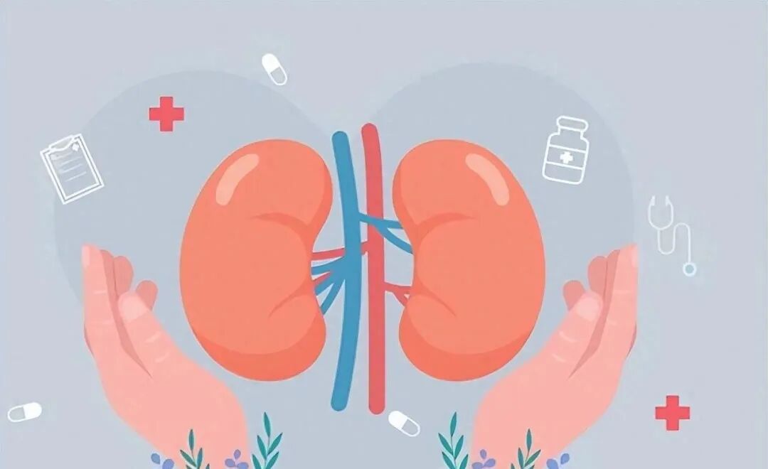 中医：冬天是补肾养精好时机，1个中成药，补肾养肝填精，让你精血十足