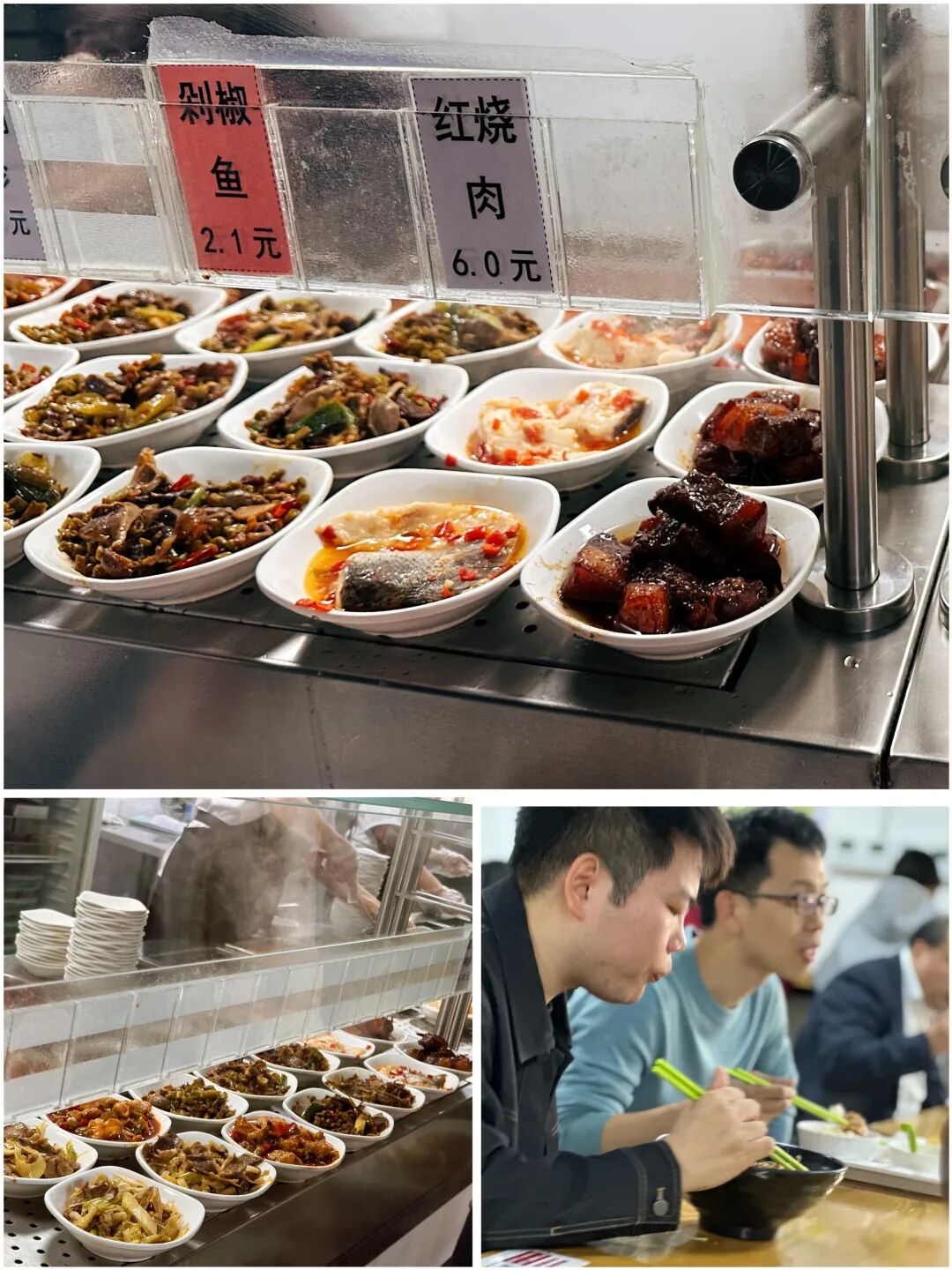 鸿鼎校友会|第46期华政研学,探文化 亲自然 陶情操!