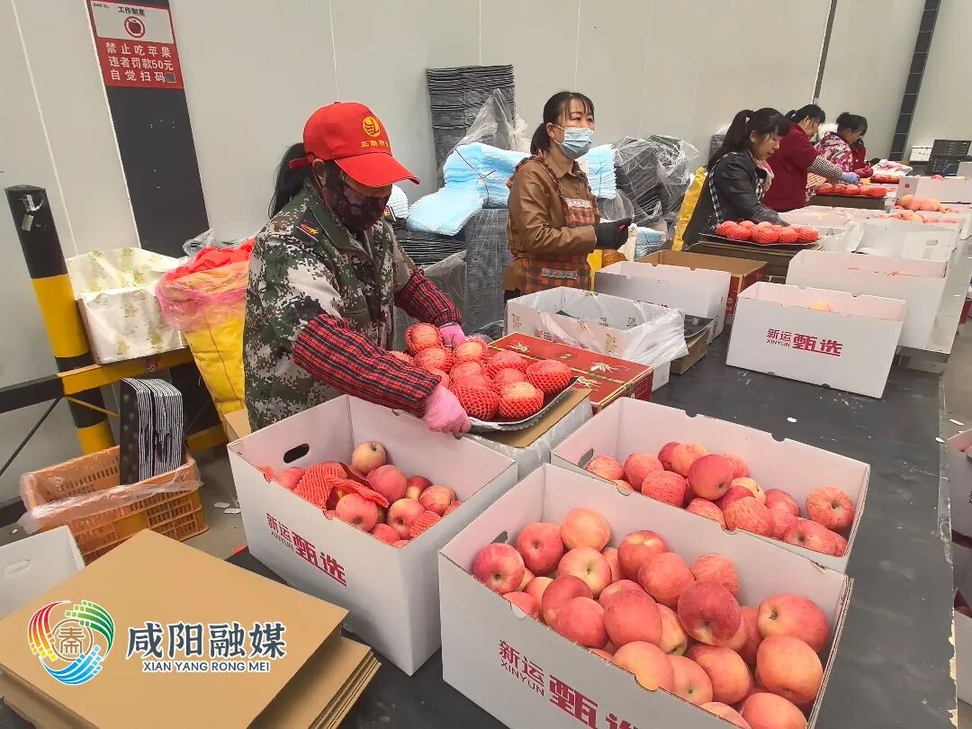 从“土特产”到“金名片”原图.jpg