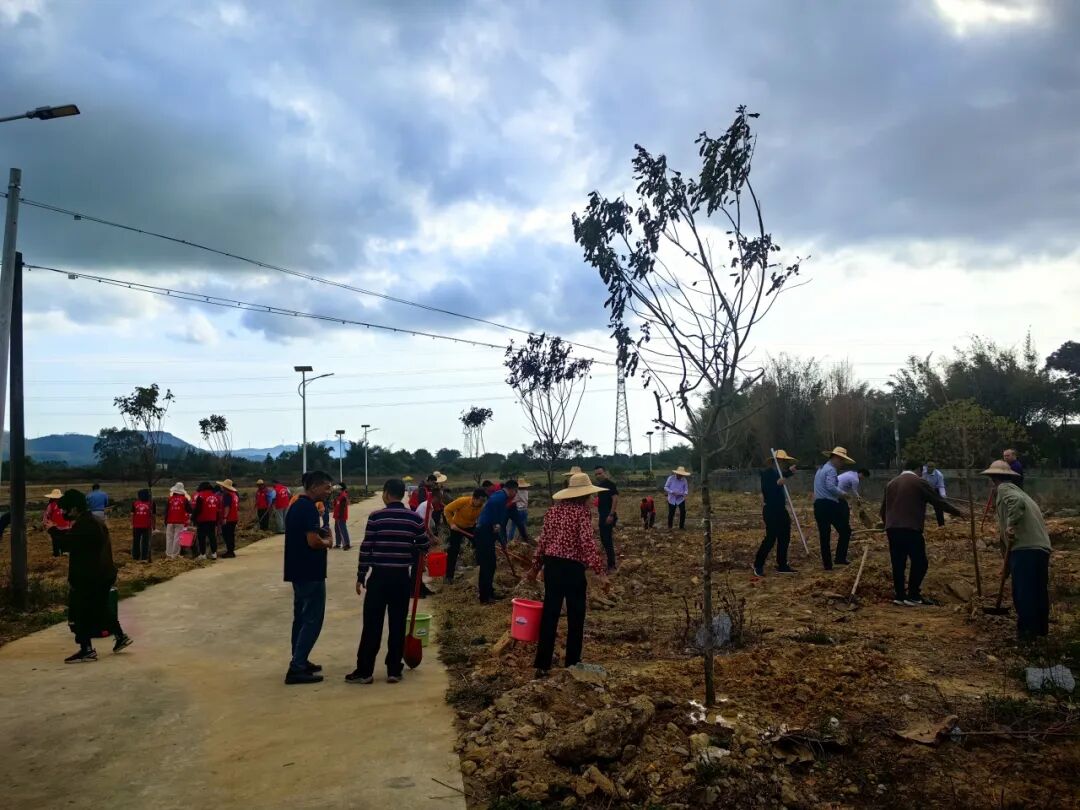 绿美阳东阳东区各镇各部门持续开展乡村绿化工作