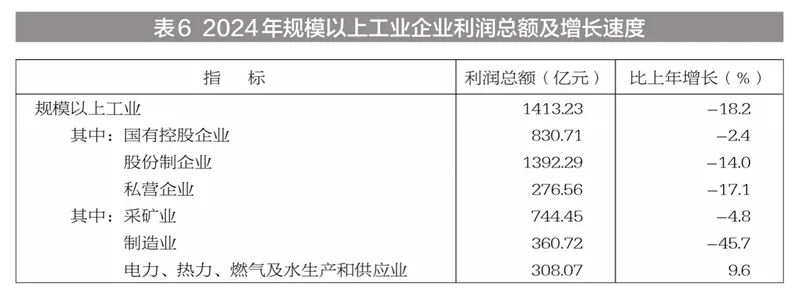 新疆维吾尔自治区2024年国民经济和社会发展统计公报(图17)