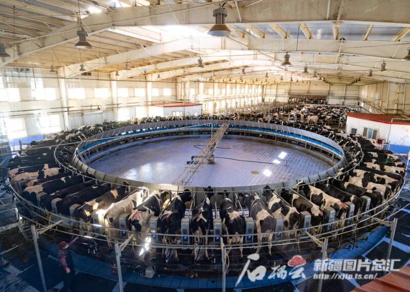 新疆工信厅党组书记赵曦峰：构建新疆特色现代化产业体系(图3)