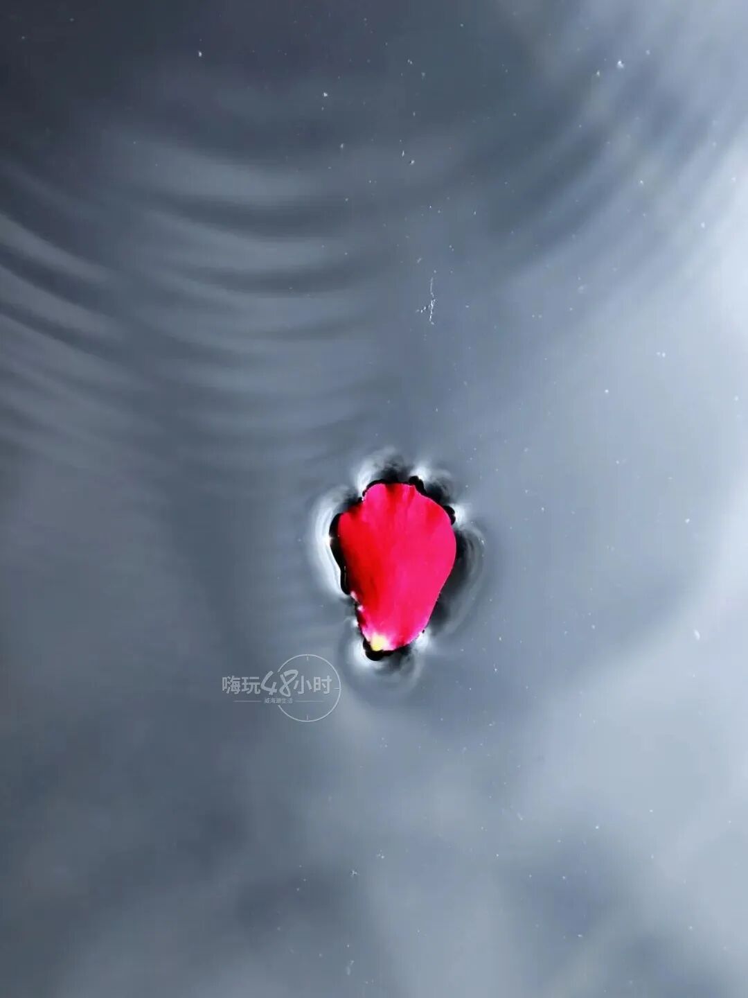 时光一晃而过,这条原威海卫城里旧街巷已成为衔接环翠楼公园,威高广场