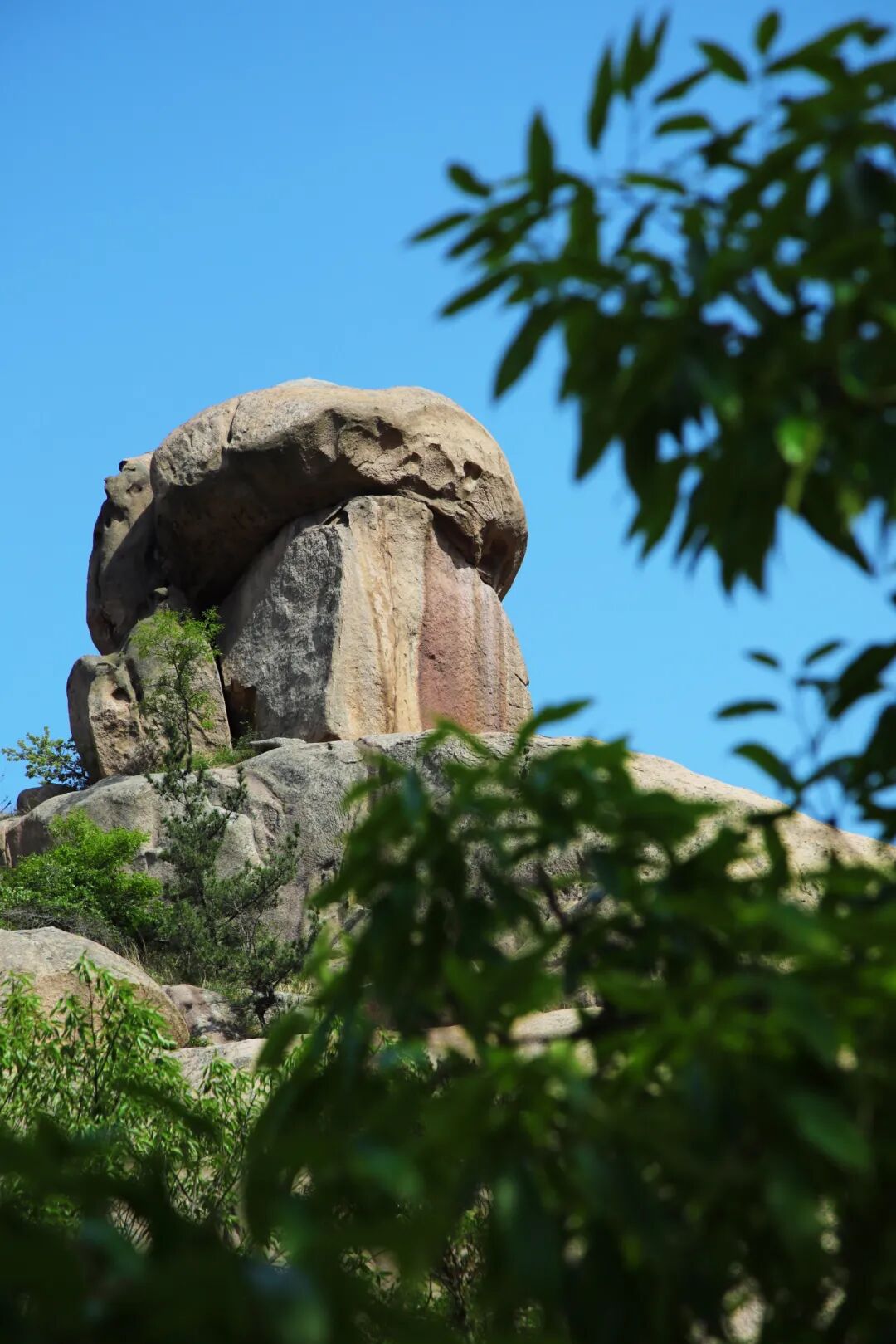 山间的风是自由的,你也是