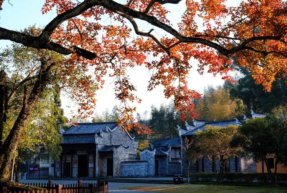 井冈山茅坪八角楼 吴晓云 摄光影武功山 周秋贤 摄