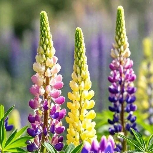 人到老年，请重视这3条准则！看完十分受益