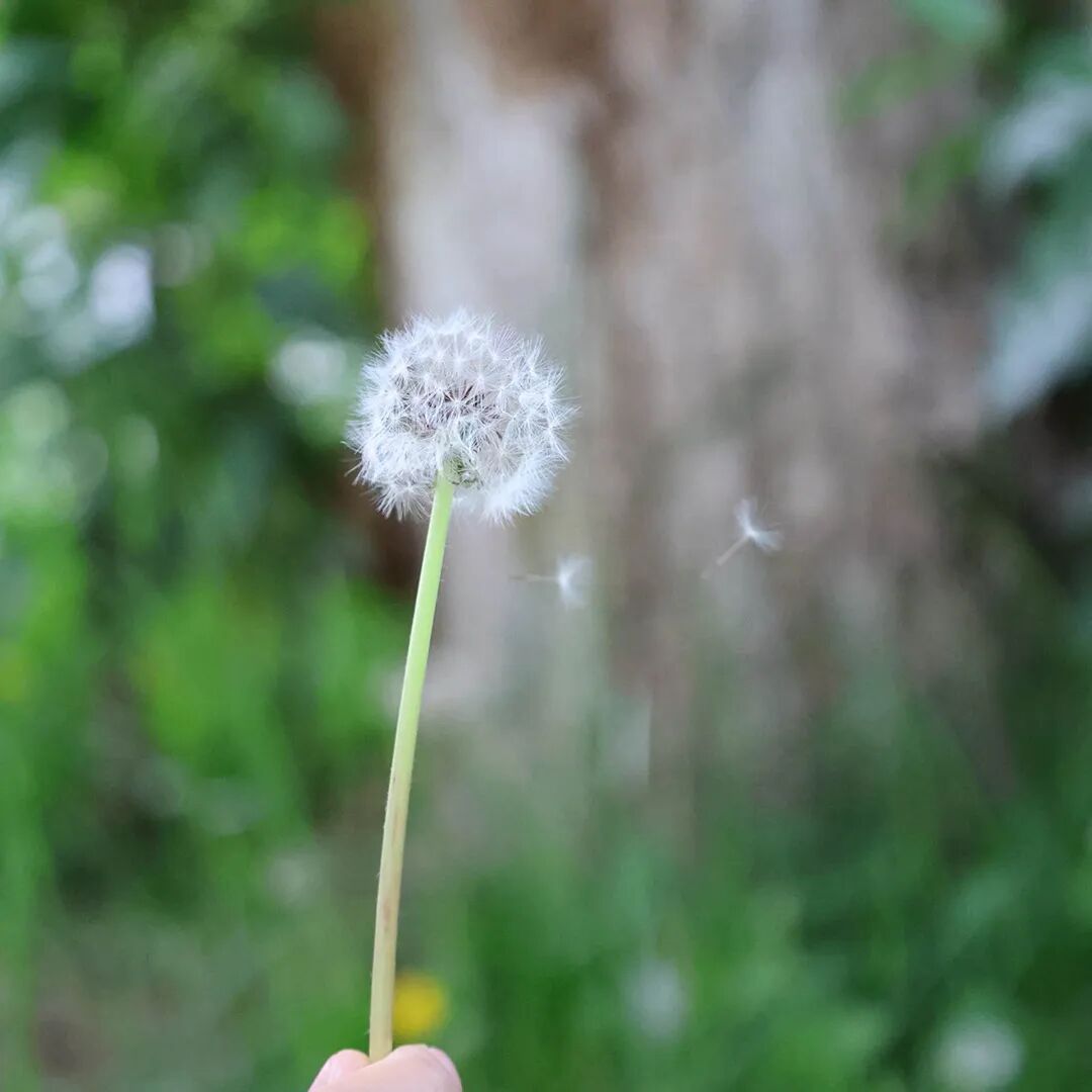 当网警遇上教师节他们是别样的教师