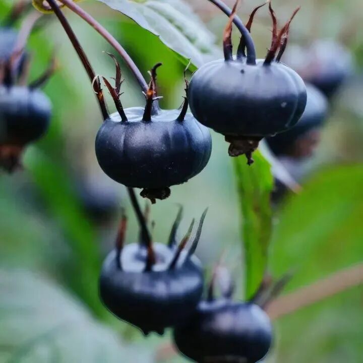 ""