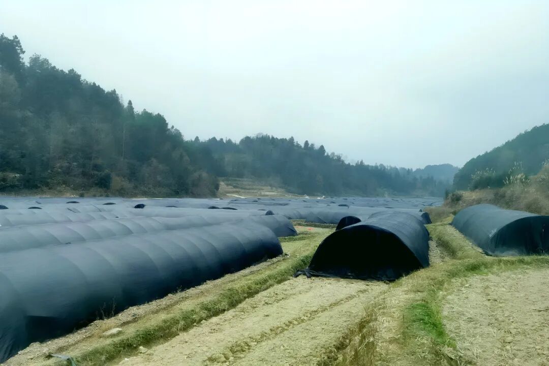 ""