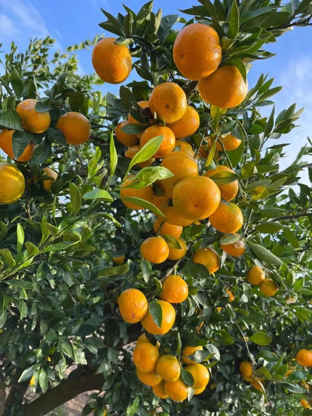 ""