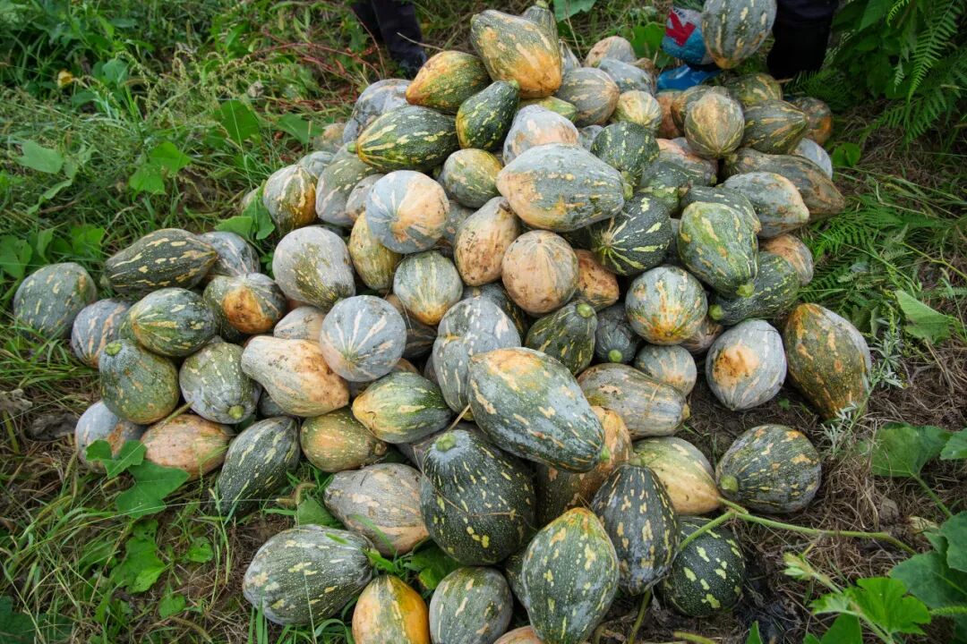 ""