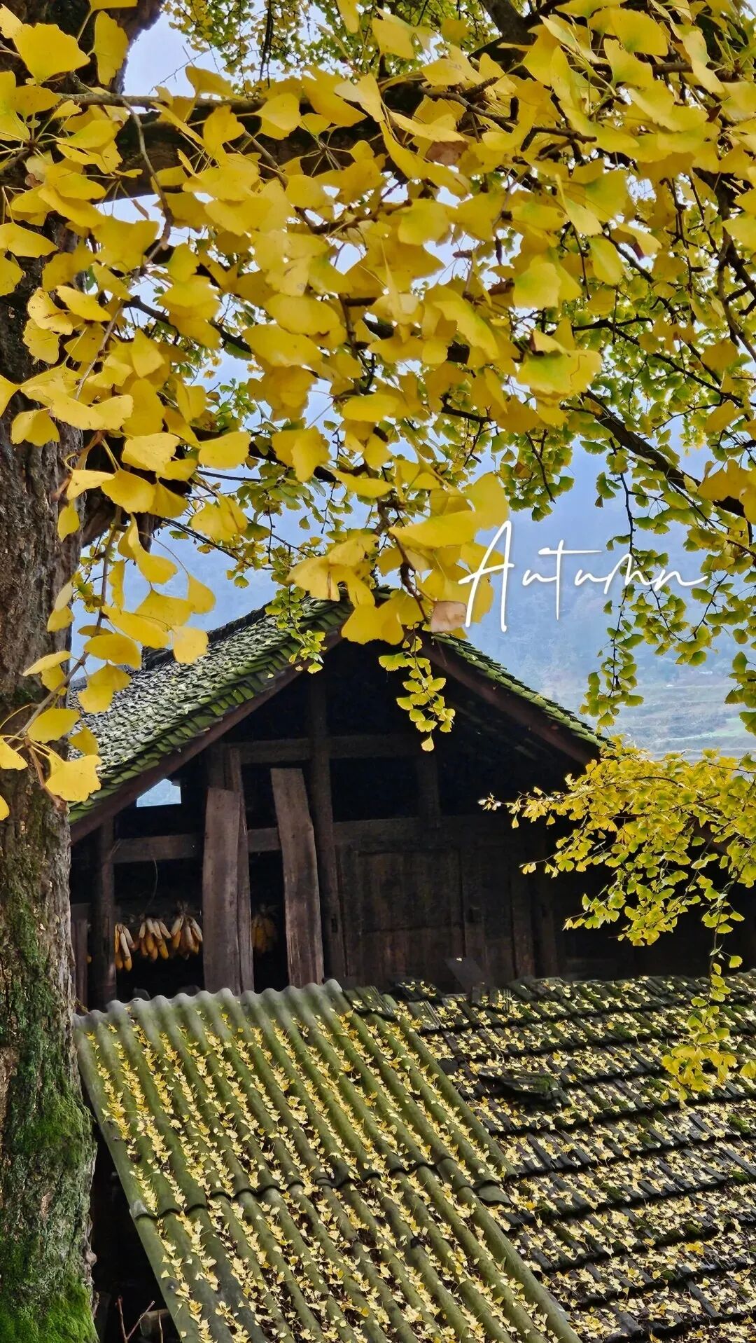 ""