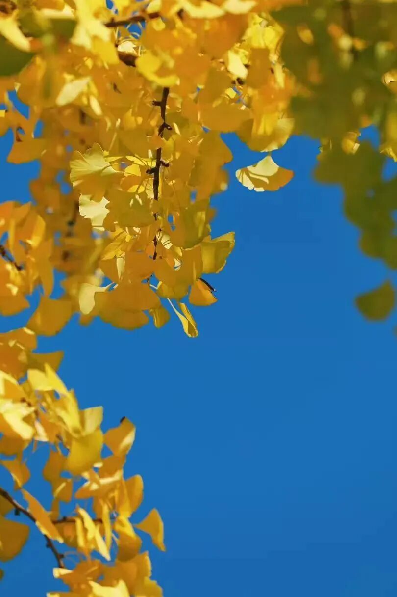 ""