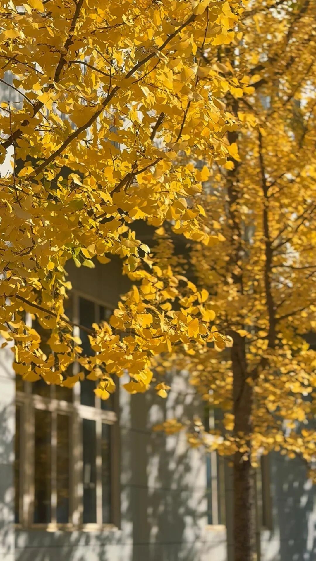 ""