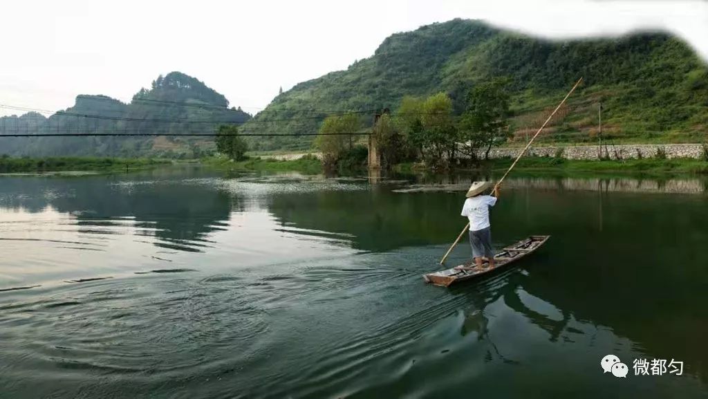 乡医致富经_村医致富经_村医致富经小说阅读