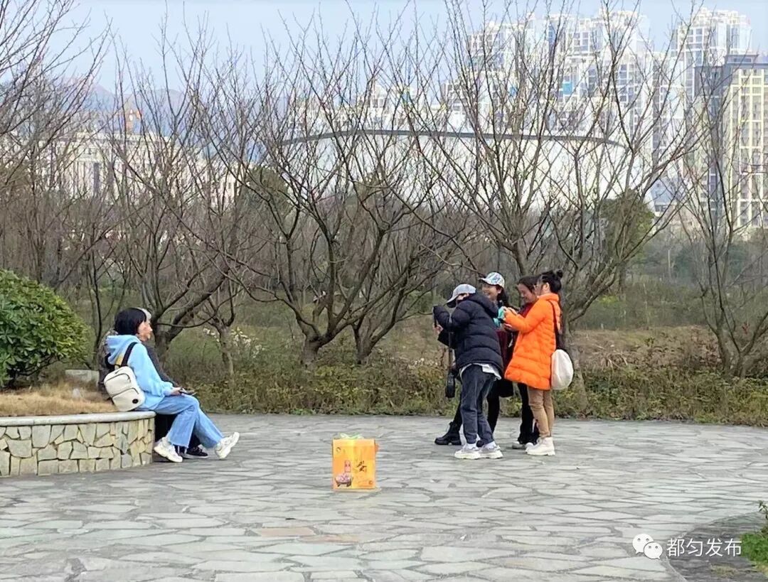 2.85��Ԫ��ǭ�� ���ȴ�������ӭ�����ź죡