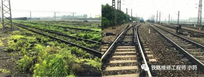 蒲公英专用除草剂_蒲公英地里有草打什么除草剂好_蒲公英田除草剂