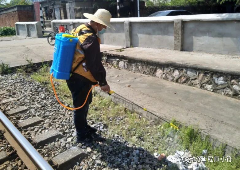 蒲公英田除草剂_蒲公英地里有草打什么除草剂好_蒲公英专用除草剂