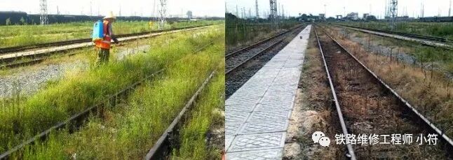 蒲公英地里有草打什么除草剂好_蒲公英田除草剂_蒲公英专用除草剂