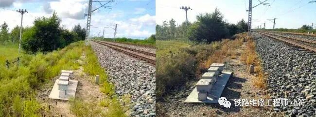 蒲公英地里有草打什么除草剂好_蒲公英田除草剂_蒲公英专用除草剂