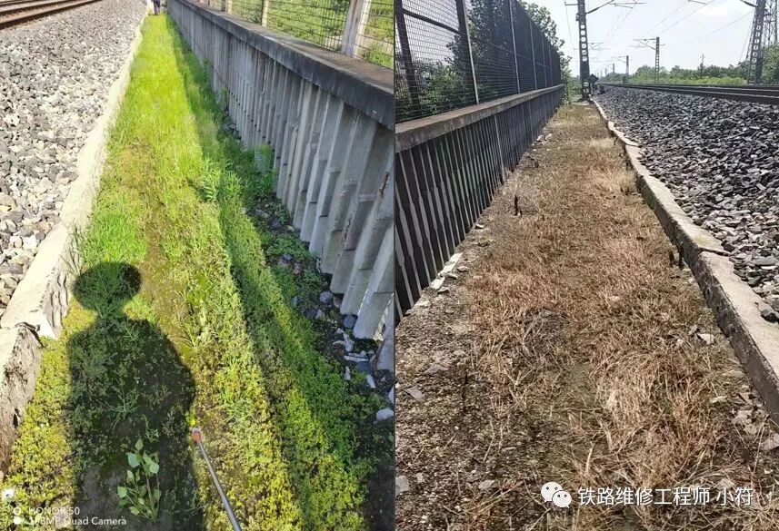 蒲公英专用除草剂_蒲公英地里有草打什么除草剂好_蒲公英田除草剂