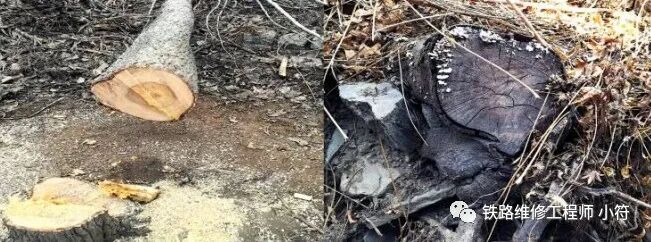 蒲公英田除草剂_蒲公英专用除草剂_蒲公英地里有草打什么除草剂好