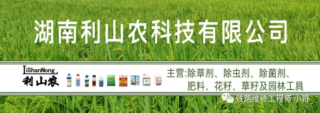 蒲公英田除草剂_蒲公英专用除草剂_蒲公英地里有草打什么除草剂好