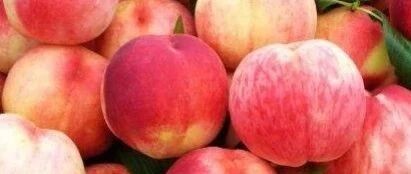 早啊，健康来了！【2021.9.18】