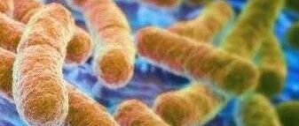 早啊，健康来了！【2020.11.9】