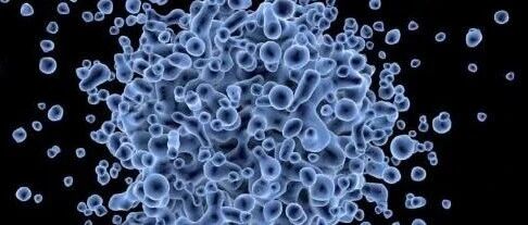 早啊，健康来了！【2020.11.23】