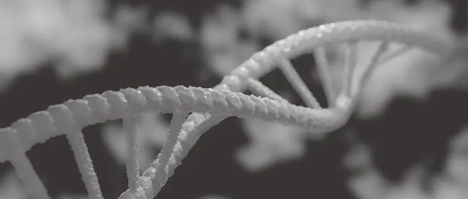 早啊，健康来了！【2021.12.20】