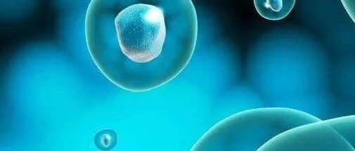 早啊，健康来了！【2020.11.11】