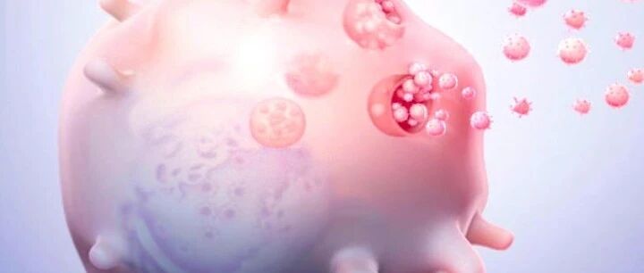 早啊，健康来了！【2022.2.14】